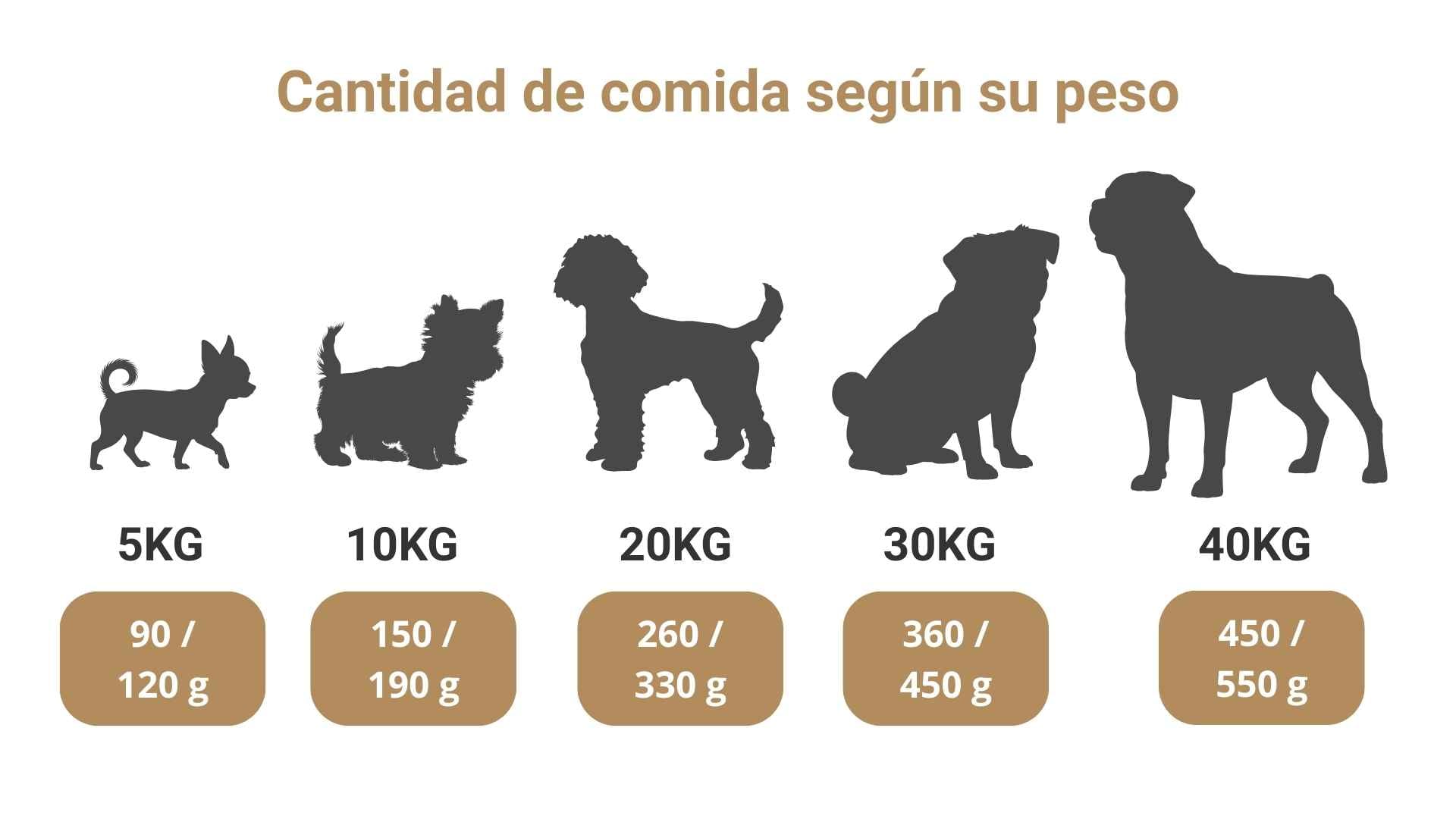 tabla de cantidad comida segun peso del perro